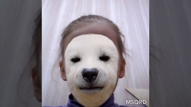 Баба ругает медведя. смотреть онлайн