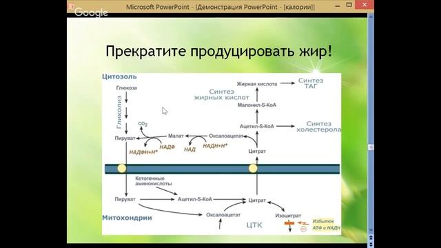 3. Считать калории вредно!   Елена Бахтина