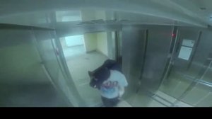 + 100 500 Черепашки нинзя - Макс + 100 500 новые выпуски 2014