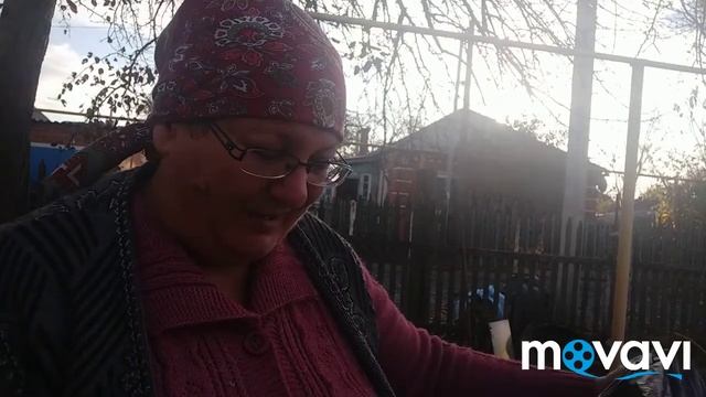 Осень. Орех засыпал листьями.