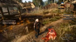 Прохождение Ведьмак 3 Дикая охота   Лихо у колодца