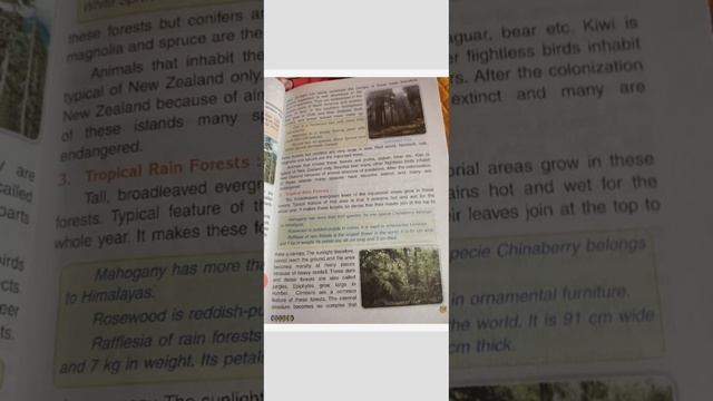 Forests: A Habitat смотреть онлайн