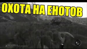 ФОРЕСТ  В ПОГОНЕ ЗА ЕНОТАМИ   THE FOREST