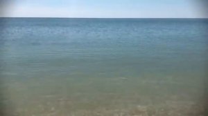 Видео Наоборот ЖЕЛЕЙНЫЙ МЕДВЕДЬ ВАЛЕРА И ГРУСТНЫЙ КОНЕЦ ЛЕТА