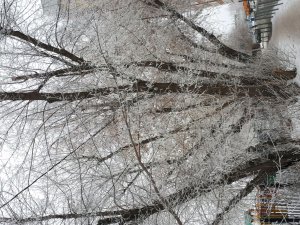 брлсила подруга+