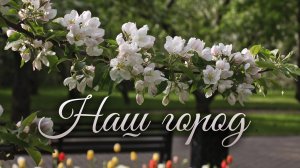 Александр Шалунов - Наш город ( Раймонд Паулс- Онегин Гаджикасимов )