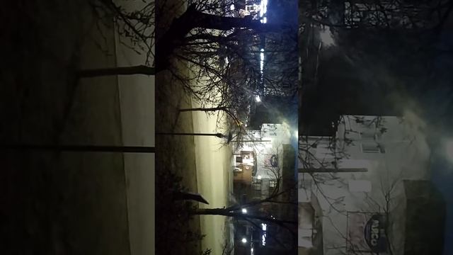 звук утренний природы птички поют успокоительные звук смотреть онлайн