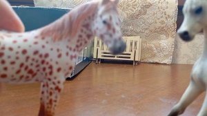 знакомство