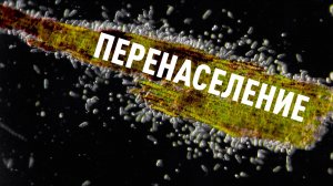 "Перенаселение"