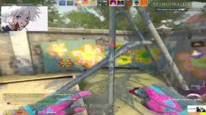 SKYWHYWALKER ПОПАЛСЯ С ПРО КОМАНДОЙ FLAMES? / СКАЙВАЙВОЛКЕР ИГРАЕТ FACEIT