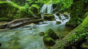 Пишутся прекрасные пейзажи | Все будет иначе