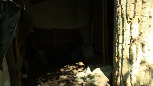 Doomsday Prepper Cabin Found. Adventure #4 смотреть онлайн