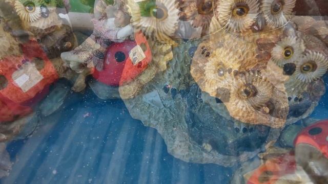 Совы на лесной вечеринке. смотреть онлайн