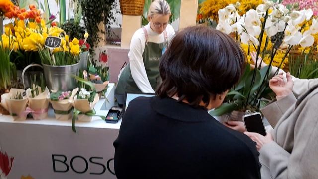 1000068946.mp4 смотреть онлайн