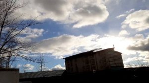 Спасаем соседских голубей от сокола.