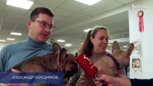 Клуб Шико. Выпуск от 08.03.25