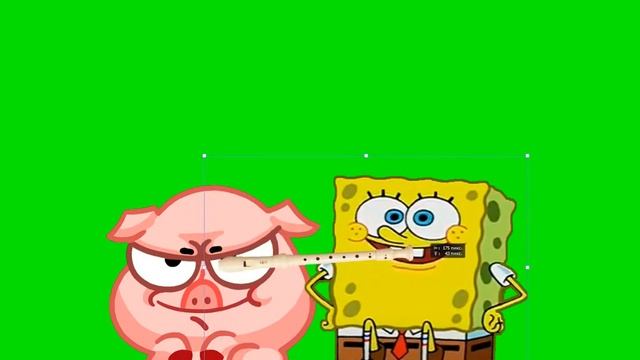 Идеи от подписчиков: trumpet boB