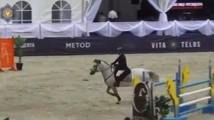 FOR SALE: бельгийская теплокровная кобыла