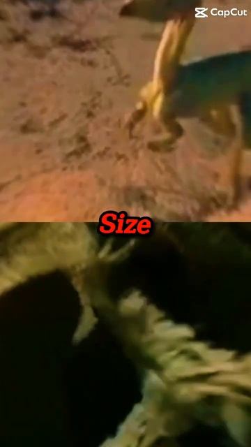 Compsognathus 🦖 vs lystrosaurus 🦎 смотреть онлайн