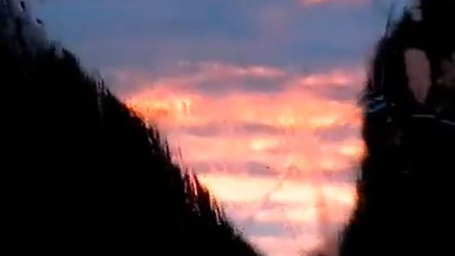 Camino a Chanchamayo смотреть онлайн