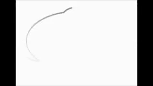 OM. TIARA GROUP Buka Dikit Joss voc  All Artis DODOY PLUS смотреть онлайн