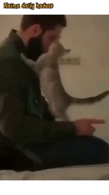 beshak namaj behayai aur bure kamon se rokti h #shorts #trending #deeneislam #islamicquotes #islam смотреть онлайн