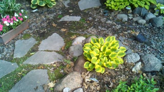 Hostas 3 смотреть онлайн