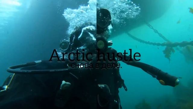 Подписываемся на группу в телеграмме!)) https://t.me/Arctichustle