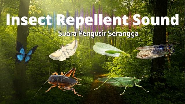 Cricket Repellent Sound смотреть онлайн