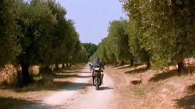 un taran cu magaru si un prost pe scuter смотреть онлайн