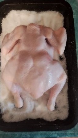 Курочка на соли.