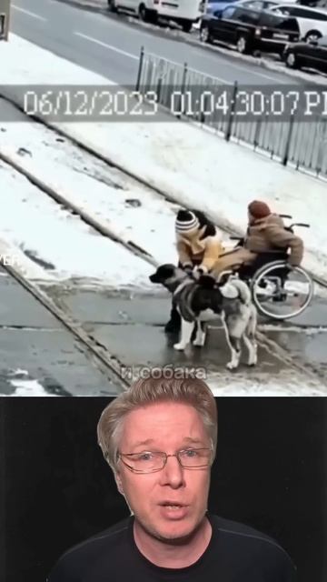 Умная собака спасла старушке жизнь смотреть онлайн