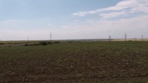МТЗ 82.1 с КРН 5.6 прополка подсолнечника
