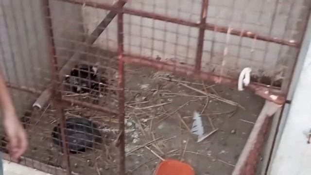 #viralvideo#blessed friday jumma Mubarak Allah pak sab ko khushiyan naseeb karey ameen#kidsvideo смотреть онлайн