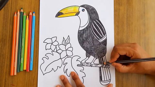 How to Draw a Toucan Bird |bird drawing for kids |Toucan drawing Step by step| #easytodraw#howtodra смотреть онлайн