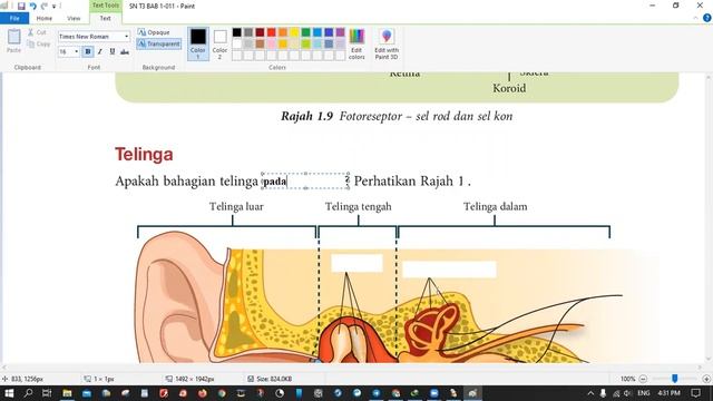PDF24 Toolbox dan Paint?