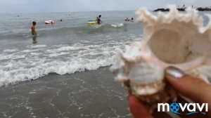 нашли ракушку в море