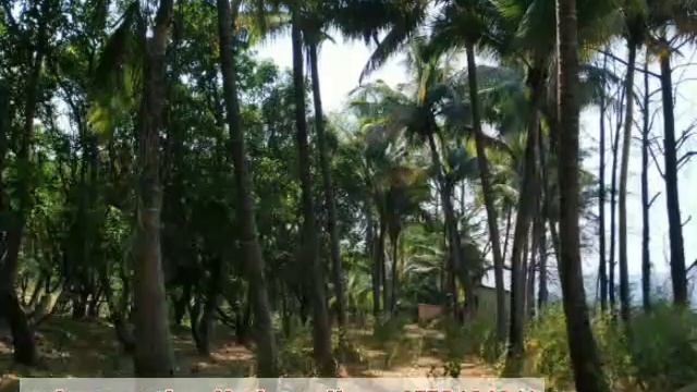 Rivertouch 5.5 Acre farmhouse for sale at Village Sangvi, Karjat. sai properties 📲 9773181911 смотреть онлайн