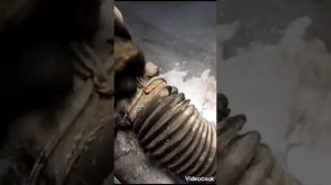 Форд Фокус-2 ремонт рулевой рейки