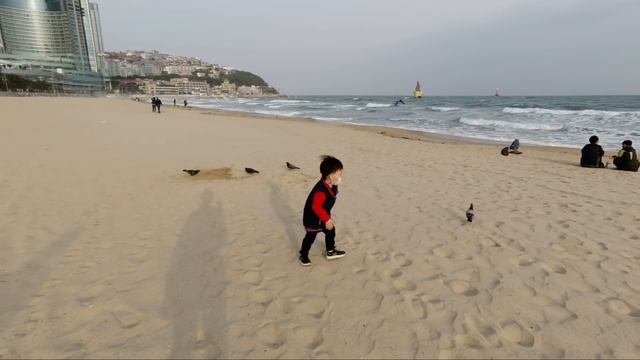 🇰🇷Корейская свекровь в гостях/С подругами на пляж/Фестиваль песка. Пусан. Корея смотреть онлайн