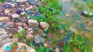 Красивые камни на речке 1