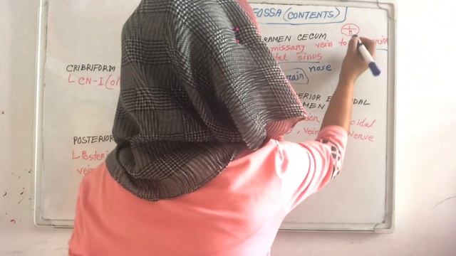 Anterior Cranial Fossa (CONTENT) and It’s Clinical part- 2/4 смотреть онлайн