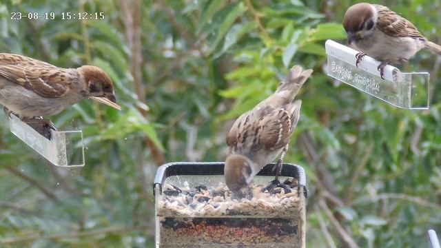 Чуть не убил малыша смотреть онлайн