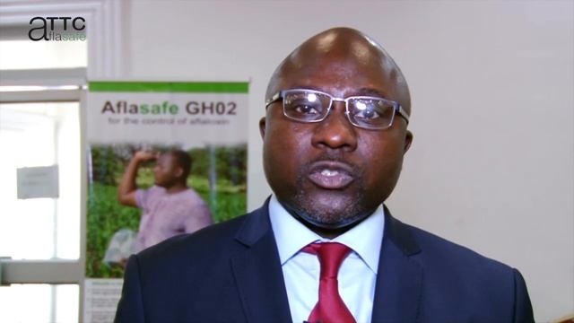 Commercialising Aflasafe GH02 in Ghana to fight aflatoxin in food - ATTC MD