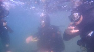 Синявино дайвинг