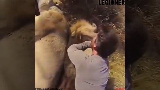 И слов не нужно... самое время задуматься...
