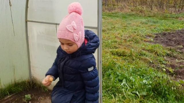 Посадка лука под зиму. смотреть онлайн