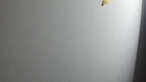 Дефектовка основания перед покраской