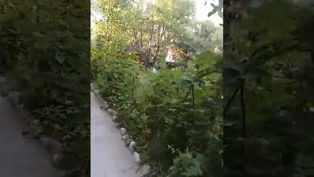 ОҚО Ленгер Ақмешіт
