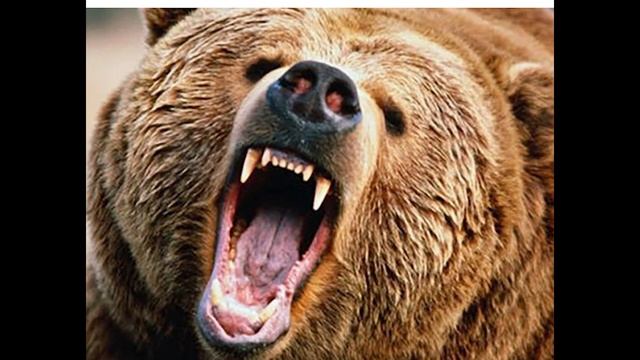 FROM THE MOON TO HELL - сельский туалет(black metal,deathcore) смотреть онлайн